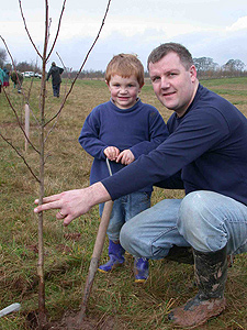 planting a tree